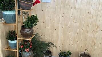 A wooden wall with a shelving unit holding various potted plants.