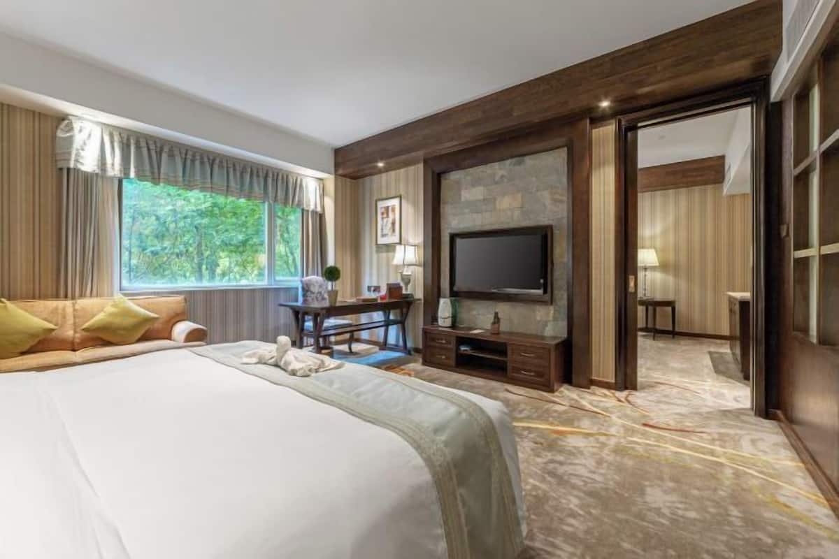 A hotel room with a large bed, a TV, a desk, and a view of greenery outside.