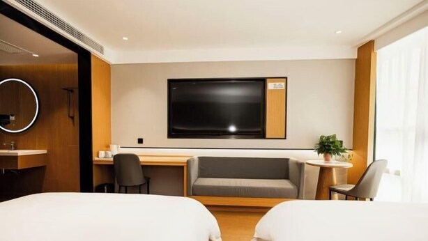 Habitación de hotel con dos camas, un escritorio, una silla, un televisor y una mesita con una planta.