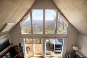 Télévision, cheminée, livres, chaîne hi-fi