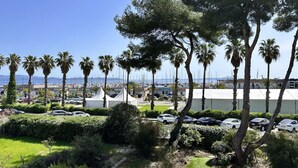 Vista costera con un puerto deportivo, palmeras y coches estacionados.