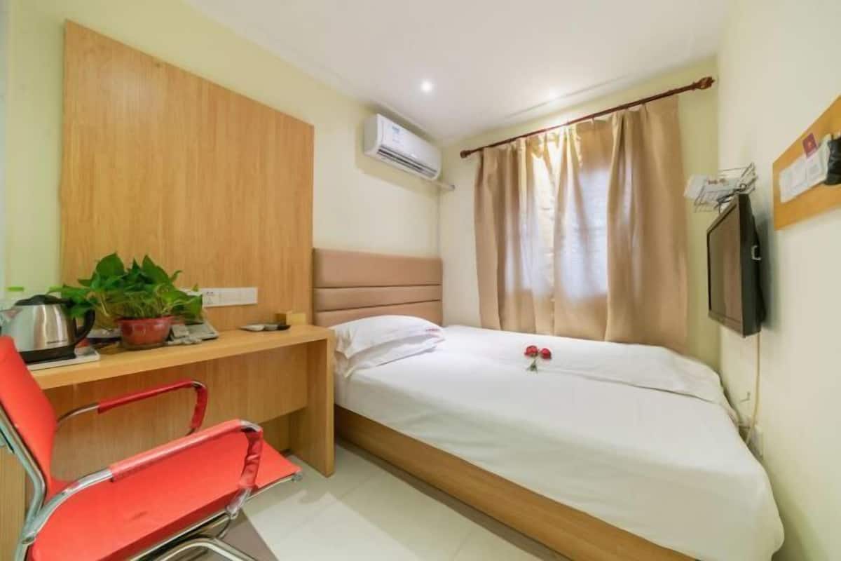 A compact hotel room with a single bed, a small desk with a chair, a potted plant, and a television mounted on the wall.