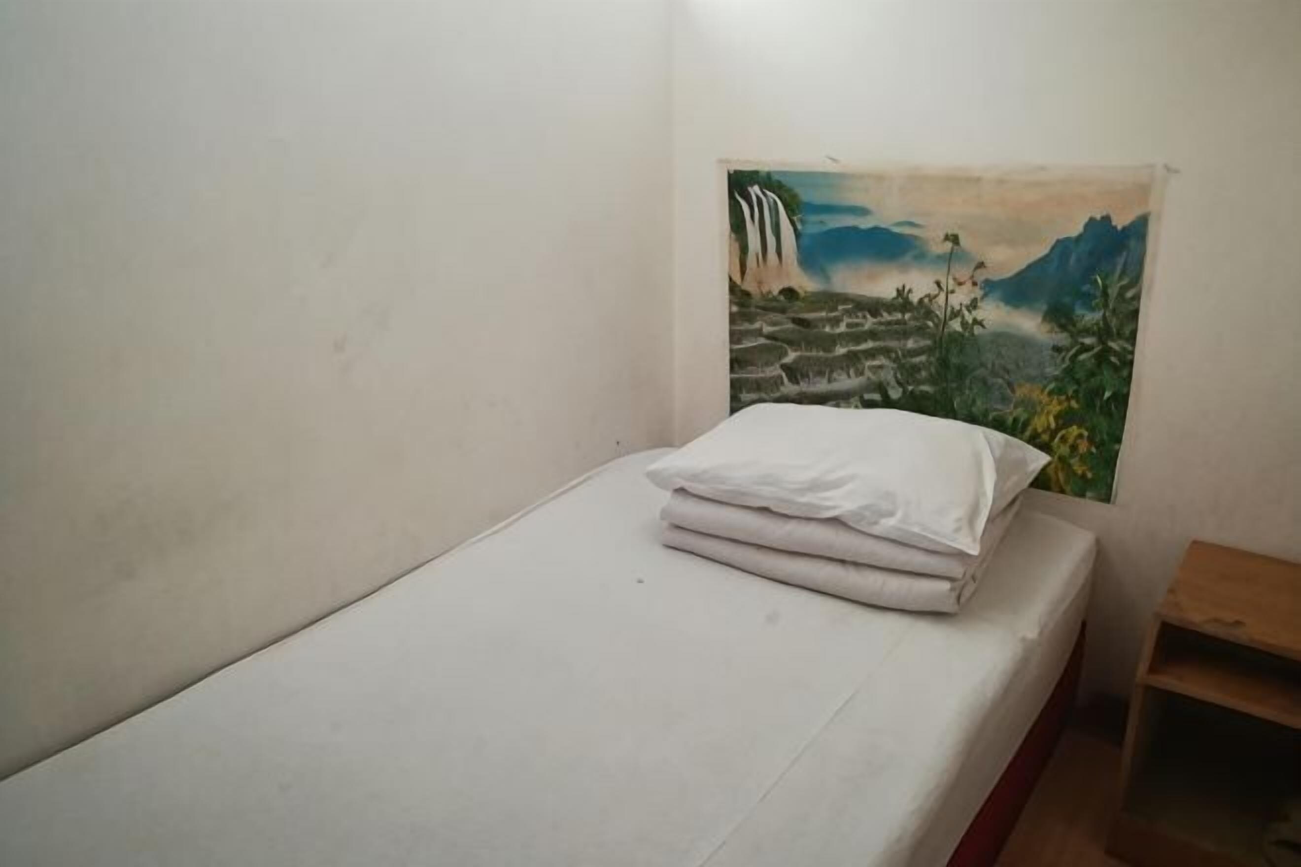 A single bed with a white mattress and pillows, a small wooden nightstand, and a wall painting of a mountainous landscape.