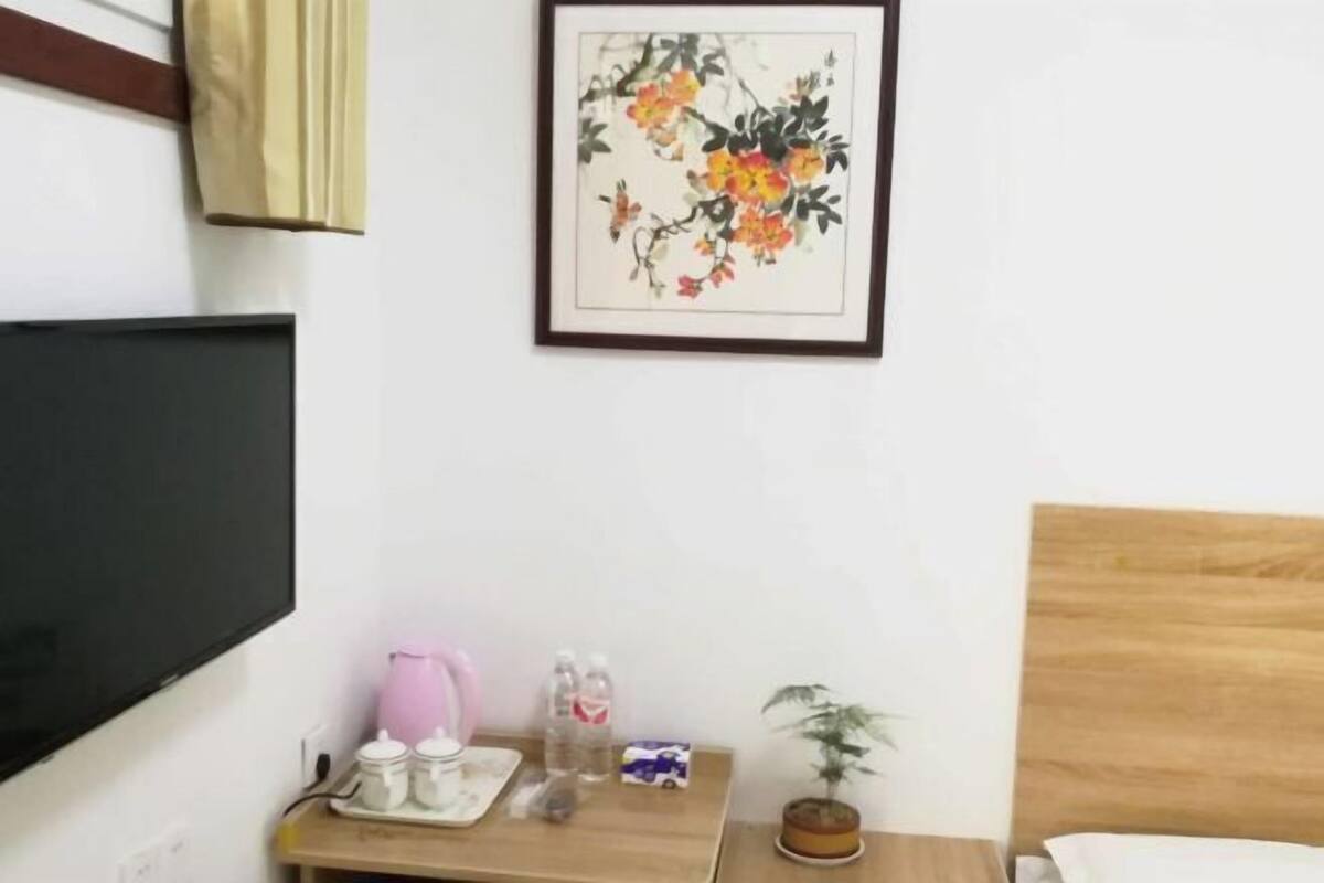 A hotel room with a bed, a TV, a small table with a plant, and a framed artwork on the wall.