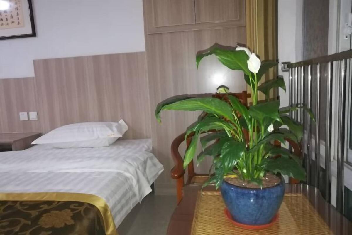A hotel room with a bed, a potted plant, a wooden chair, and a metal railing.