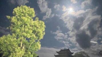 A traditional pagoda structure with a tree in the foreground.