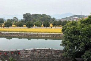 Un río con un muro de piedra y árboles, un campo de cultivos amarillos y edificios distantes.