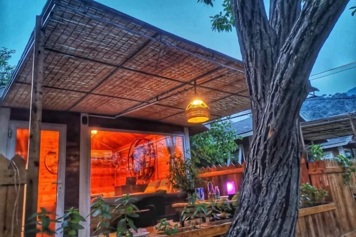 Un bâtiment rustique avec un toit de chaume, dont l’intérieur est visible et qui comprend un espace bar, avec un arbre au premier plan.