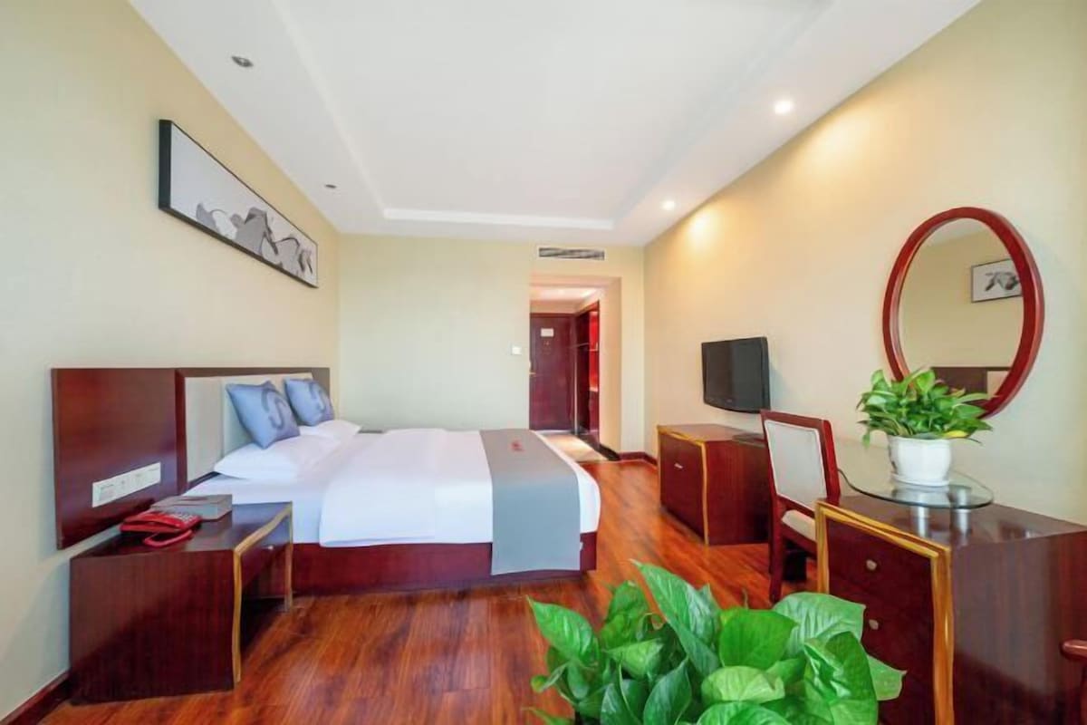 A hotel room with a bed, bedside table, TV, mirror, and a potted plant.
