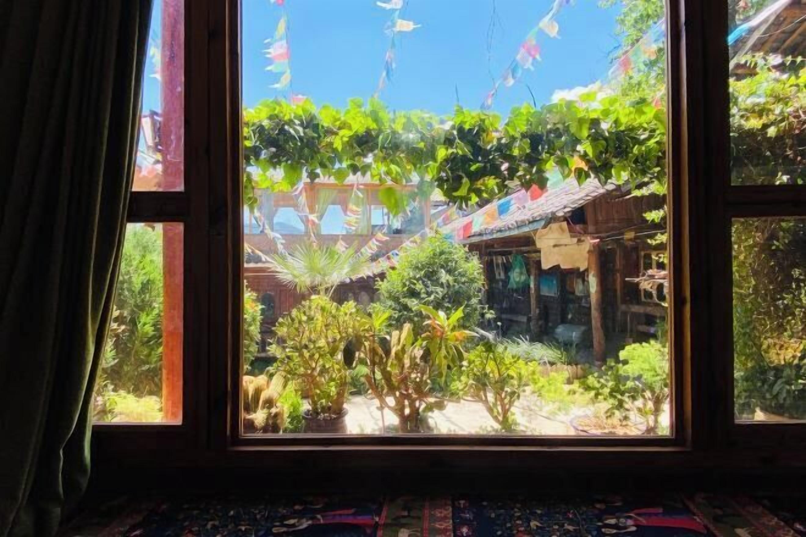 Una ventana con vista a un patio, que incluye una estructura de madera y varias plantas.