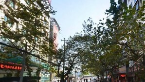 Een straat met bomen en gebouwen, met voetgangers en voertuigen.