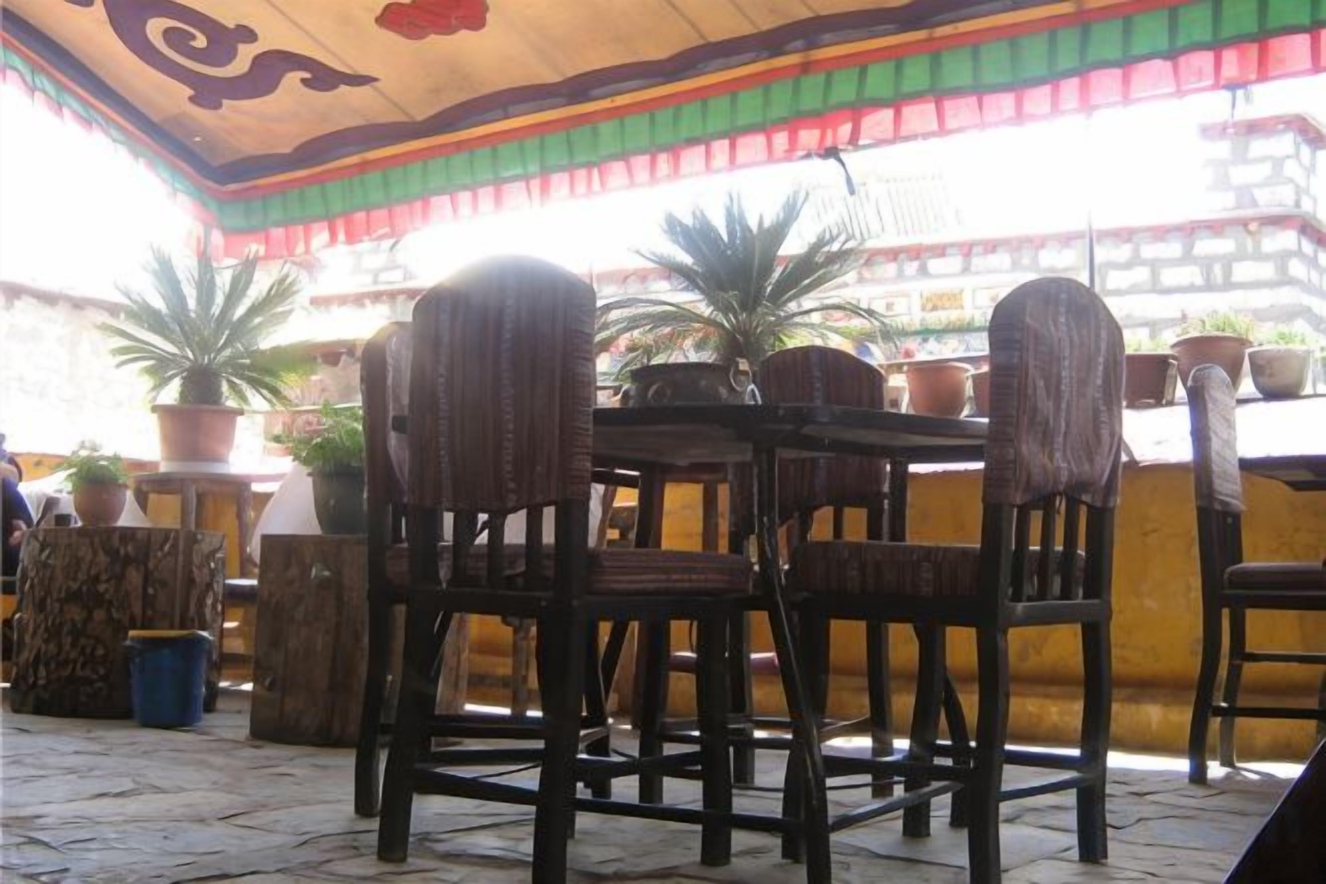 Un espace extérieur aménagé avec des chaises et des tables en bois, des plantes en pot et un sol carrelé.
