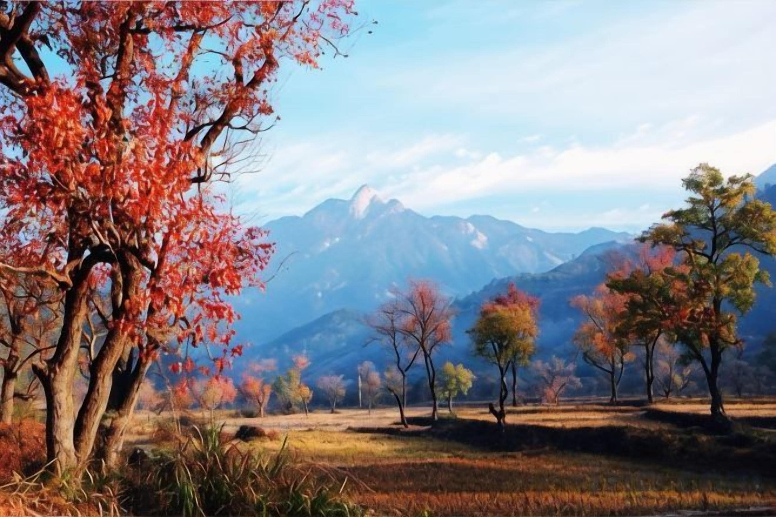 Eine Berglandschaft mit Bäumen und blauem Himmel.