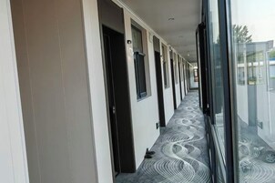 A corridor with doors leading to rooms, a patterned carpet, and a glass wall reflecting the outside.