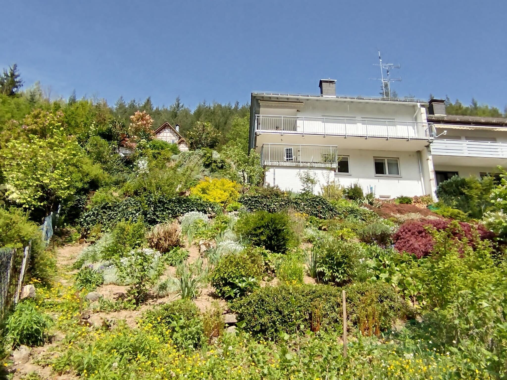 Eine Wohngegend an einem Hang mit einem weißen, zweistöckigen Haus mit Balkonen, umgeben von vielfältiger Vegetation und einem klaren, blauen Himmel.