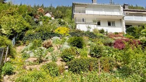 A hillside residential area with a white two-story house featuring balconies, surrounded by a variety of vegetation and a clear blue sky.