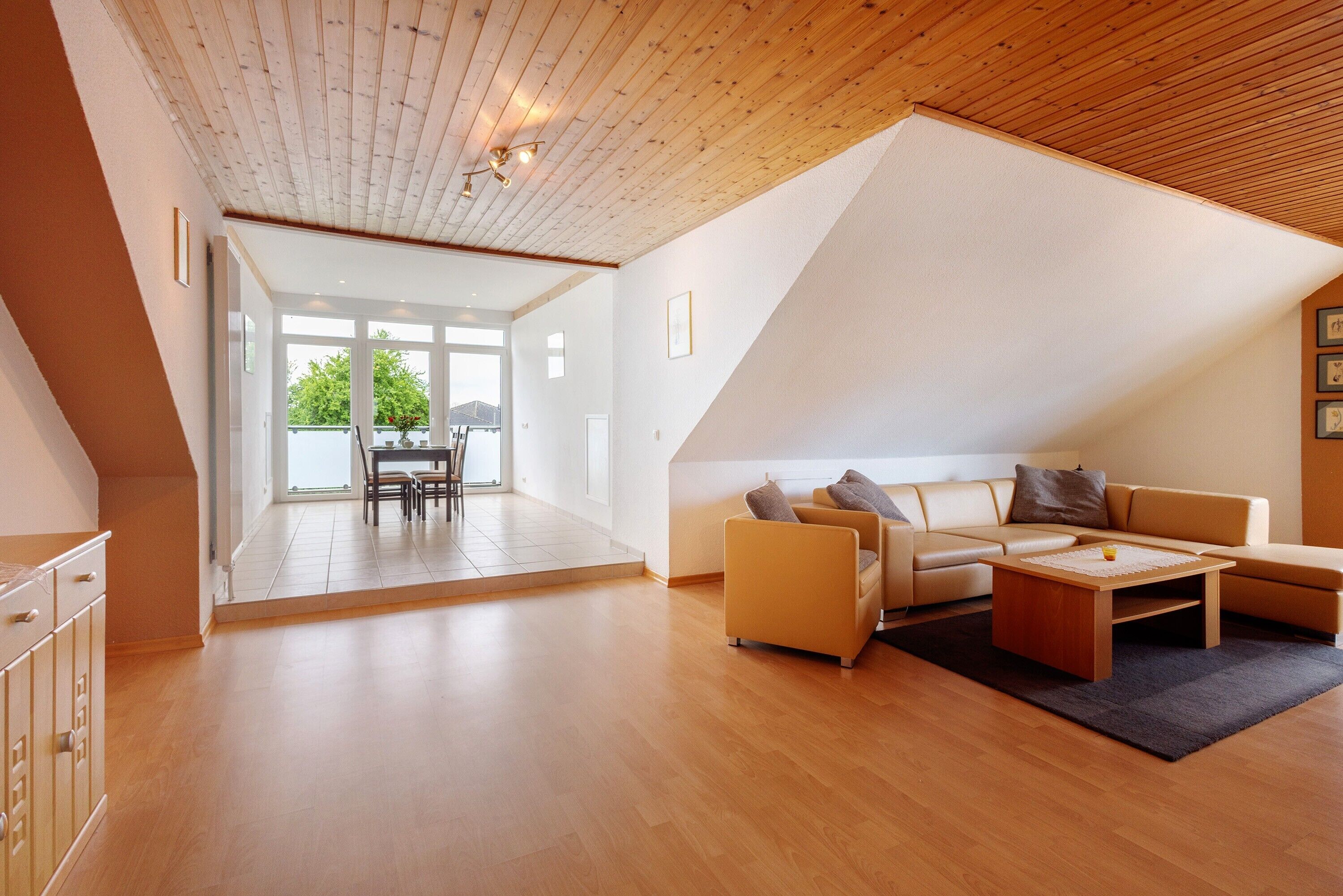 Televisor i reproductor de DVD 