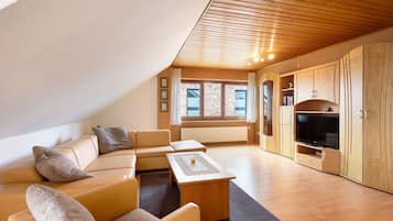 Fernseher, DVD-Player