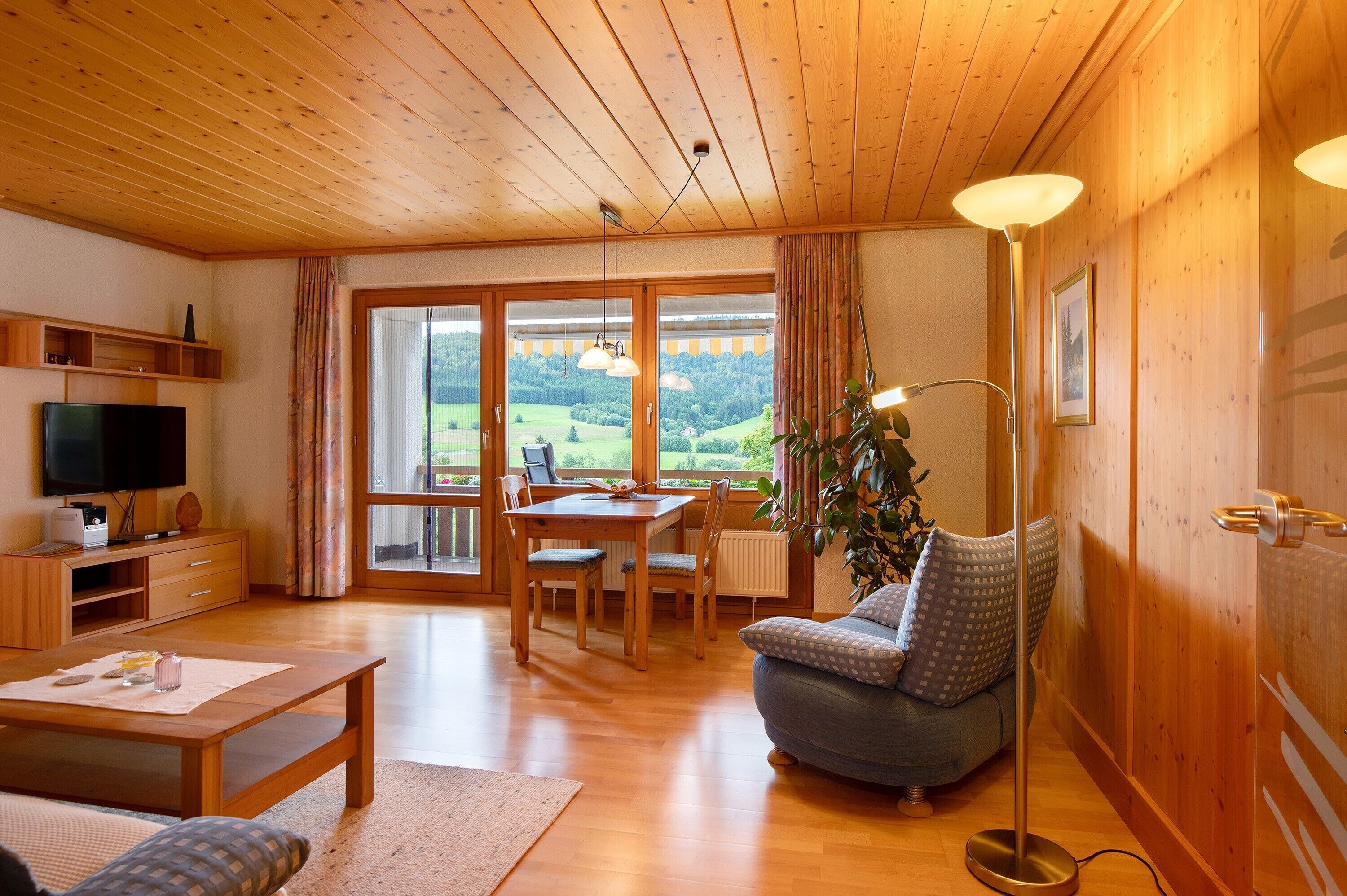 Télévision, chaîne hi-fi