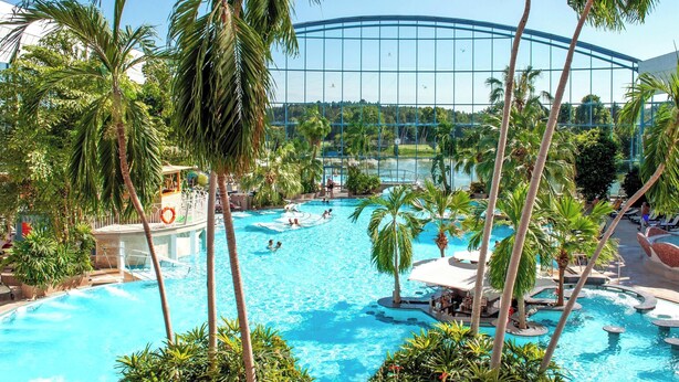 Une grande piscine intérieure entourée de palmiers et bordée d’un bâtiment en verre.