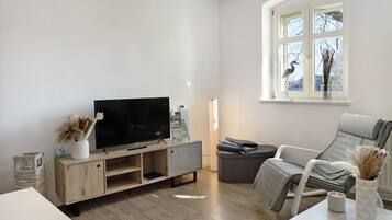 Fernseher