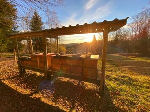 Enceinte de l’hébergement