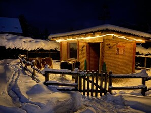 Enceinte de l’hébergement