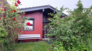 Uklassifisert bilde, 2 av 23, knapp