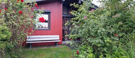 Exteriör