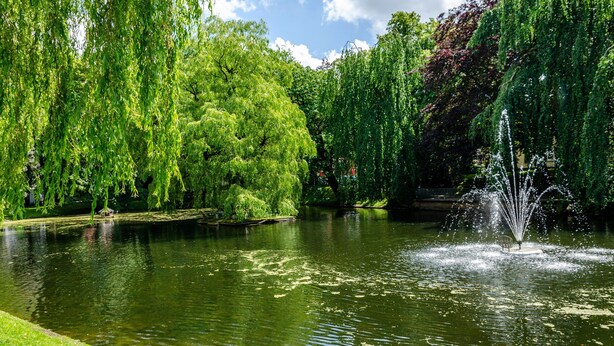 Un parc paisible avec une fontaine, une végétation luxuriante et un étang tranquille.
