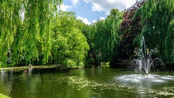 Área da propriedade