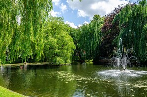 Um parque tranquilo com uma fonte, vegetação exuberante e um lago calmo.