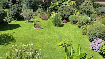 Terrain de l’hébergement