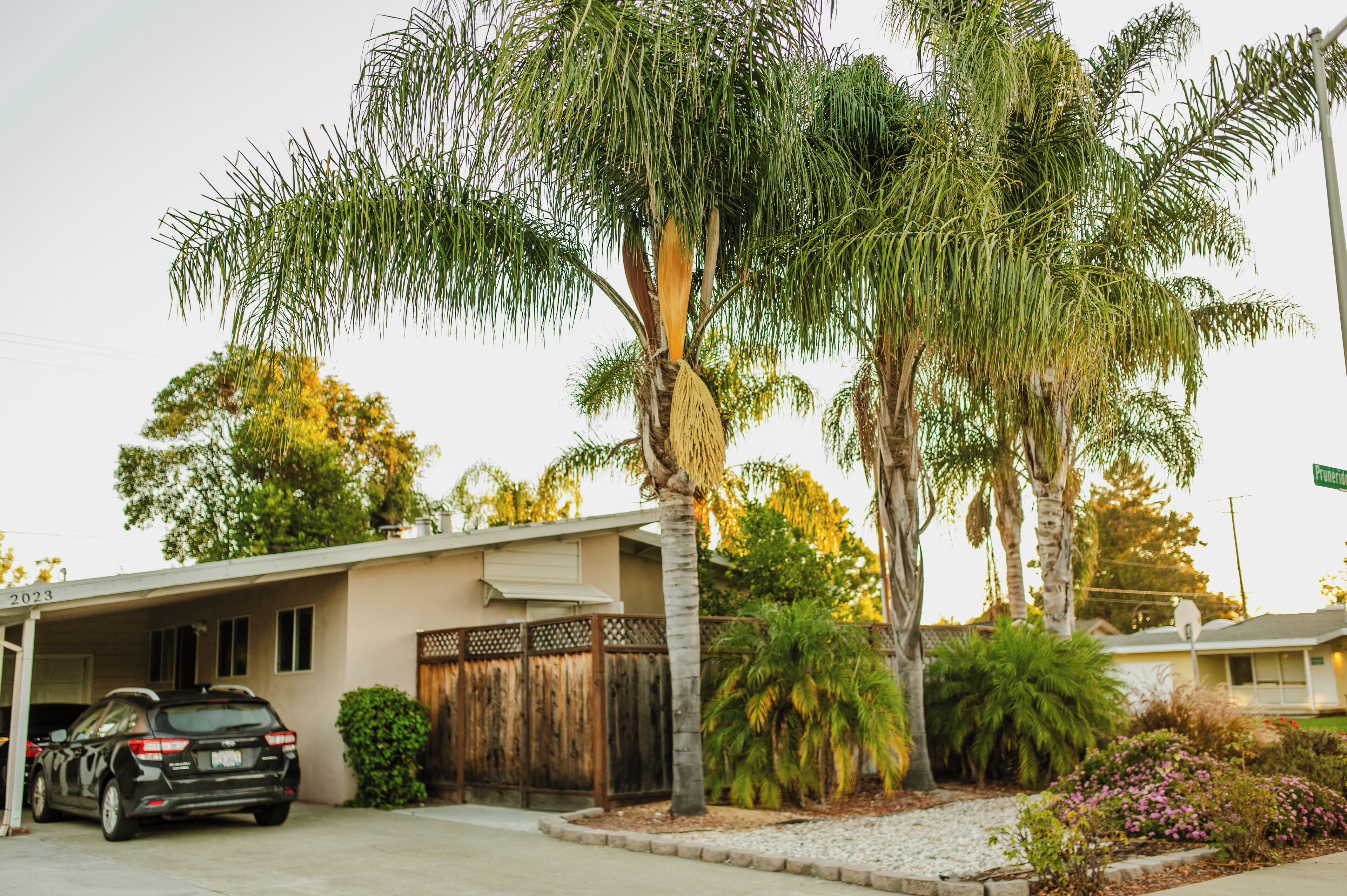 Áreas de la propiedad