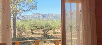 Op 30 Minuten van het Strand een Fantastische Luxe Blokhut met Terras en Wifi