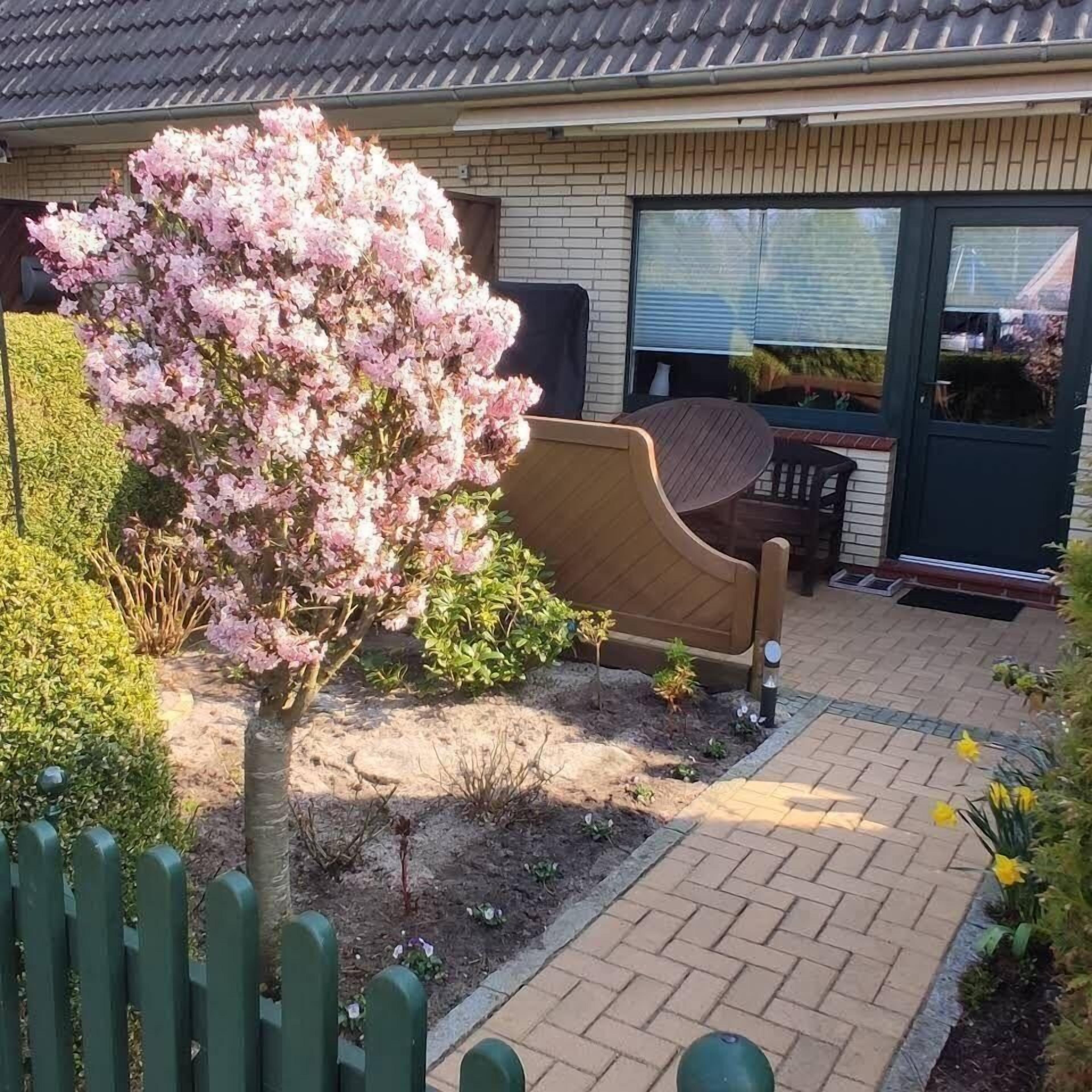 Eingang und Terrassenbereich...