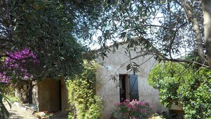 A rustic building with a small window and a door, surrounded by lush greenery and flowering plants. - Loue Maison de Famille Dans le Golf de Lava à Proximité de la mer (Villanova)