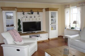 TV connectée, cheminée, livres