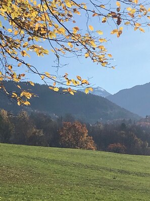 Un champ herbeux parsemé de feuilles d’automne, avec une chaîne de montagnes en arrière-plan.
