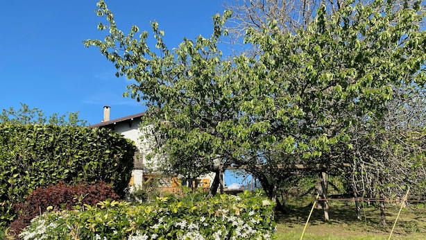 Um jardim com diversas plantas e flores, um edifício branco com telhado marrom e um céu azul límpido.