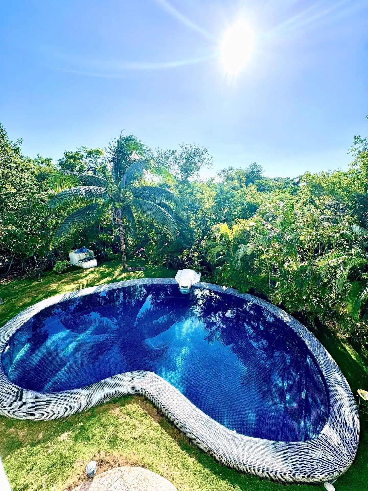 A swimming pool surrounded by lush greenery and trees.