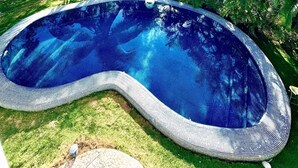 A swimming pool surrounded by lush greenery and trees.