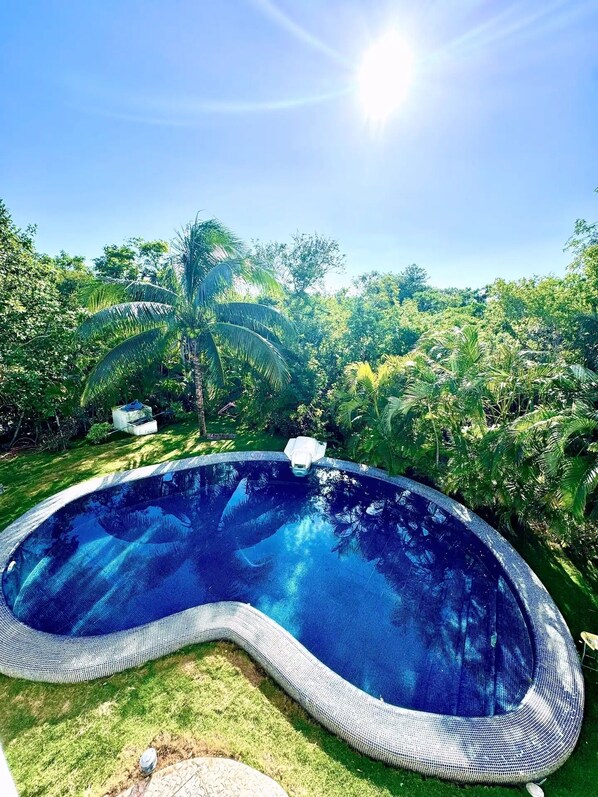 A swimming pool surrounded by lush greenery and trees.