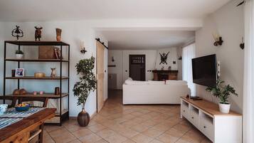 Smart TV, fireplace, stereo, computer monitors