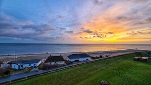 A coastal view with a sunset, a beach, and a row of houses with a grassy field in the foreground.
