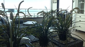 A modern living room with large windows, a view of the sea, and a variety of plants.