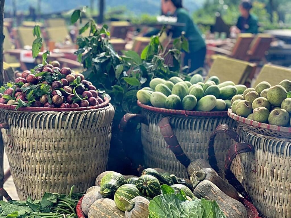 Hoạt động cho trẻ em