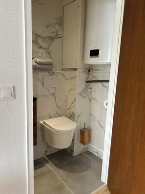 Shower, towels, toilet paper - Studio Rez-de-chaussée Morbier Proche Commodités (Morbier)