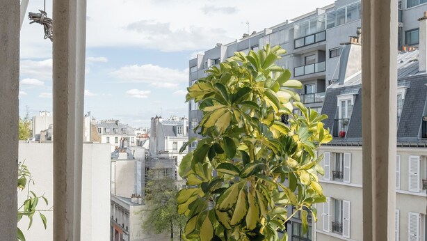 Un balcon donnant sur une rue de la ville, avec une plante et des bâtiments en arrière-plan.