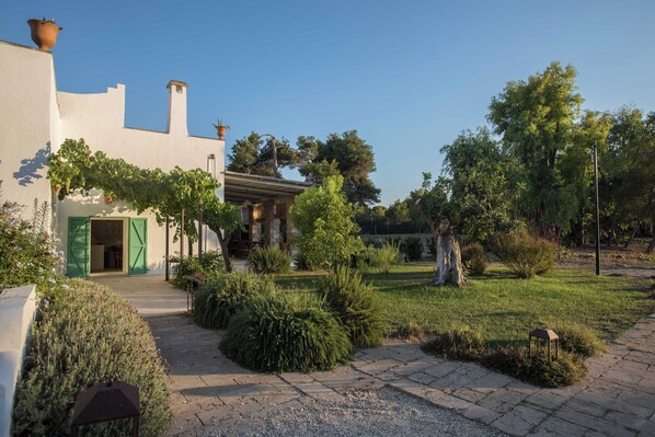 Un patio con un edificio blanco, una puerta verde y una pérgola.